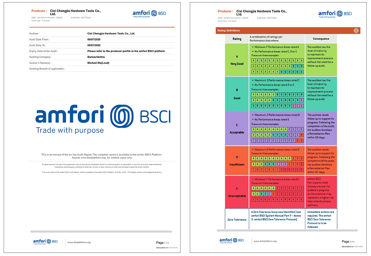 BSCI Report.jpg